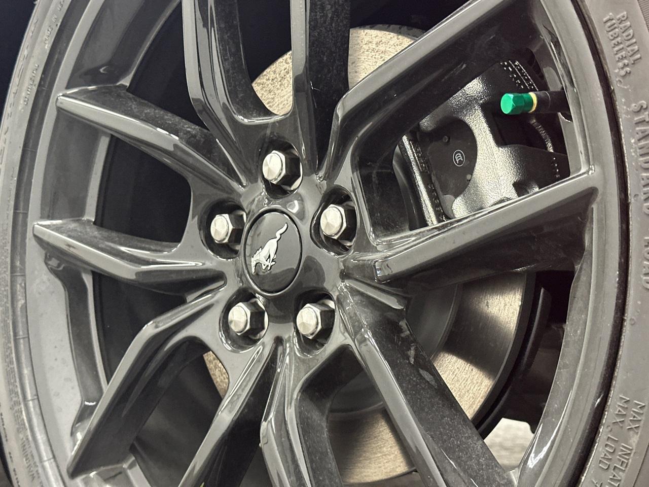 2026 Ford Mustang Photo in Silver Spring, MD 20904