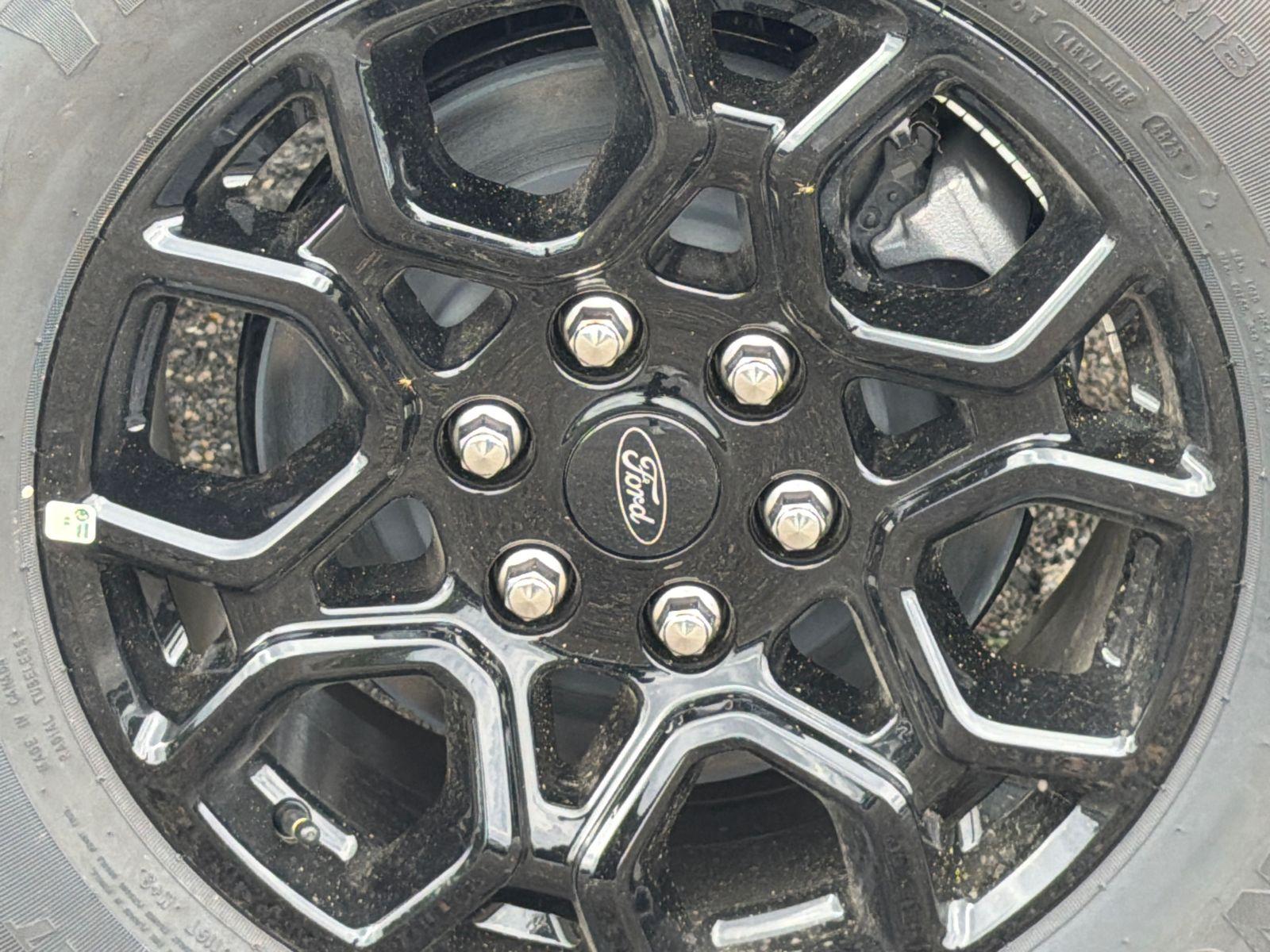 2026 Ford F-150 Photo in Silver Spring, MD 20904