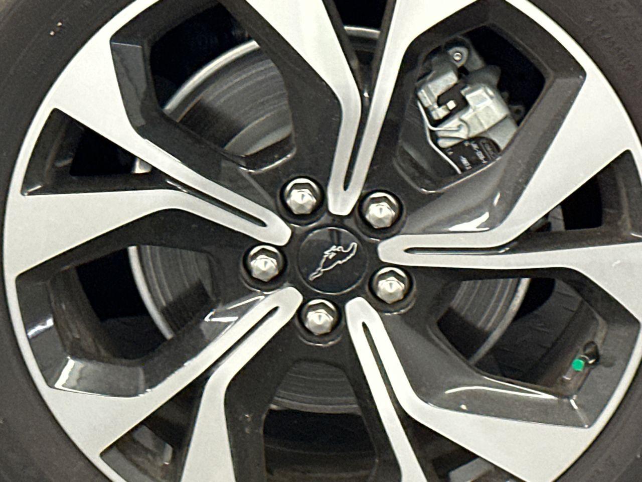 2024 Ford Mustang Mach-E Photo in Silver Spring, MD 20904