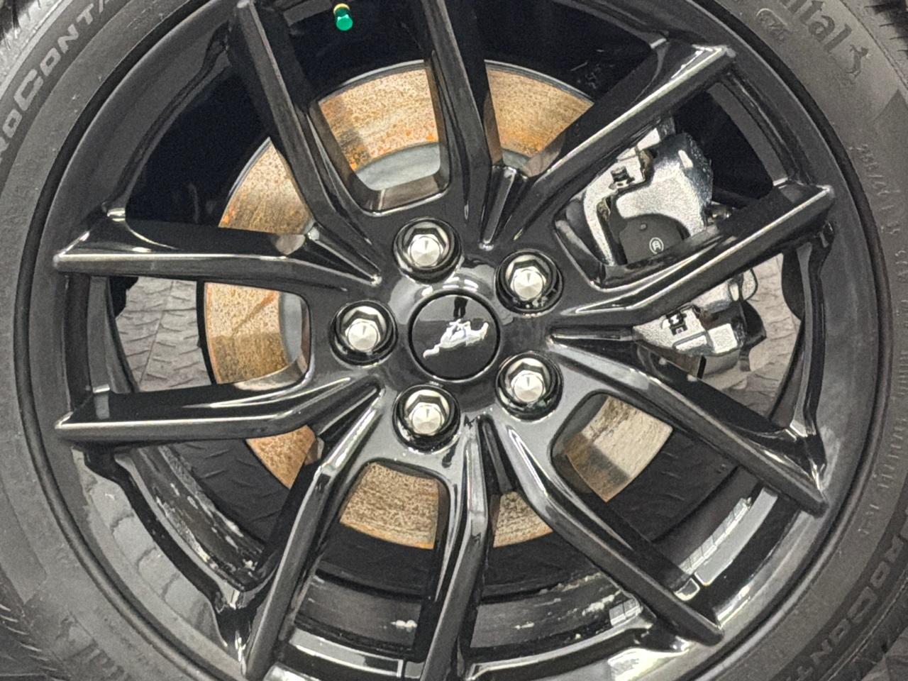 2026 Ford Mustang Photo in Silver Spring, MD 20904