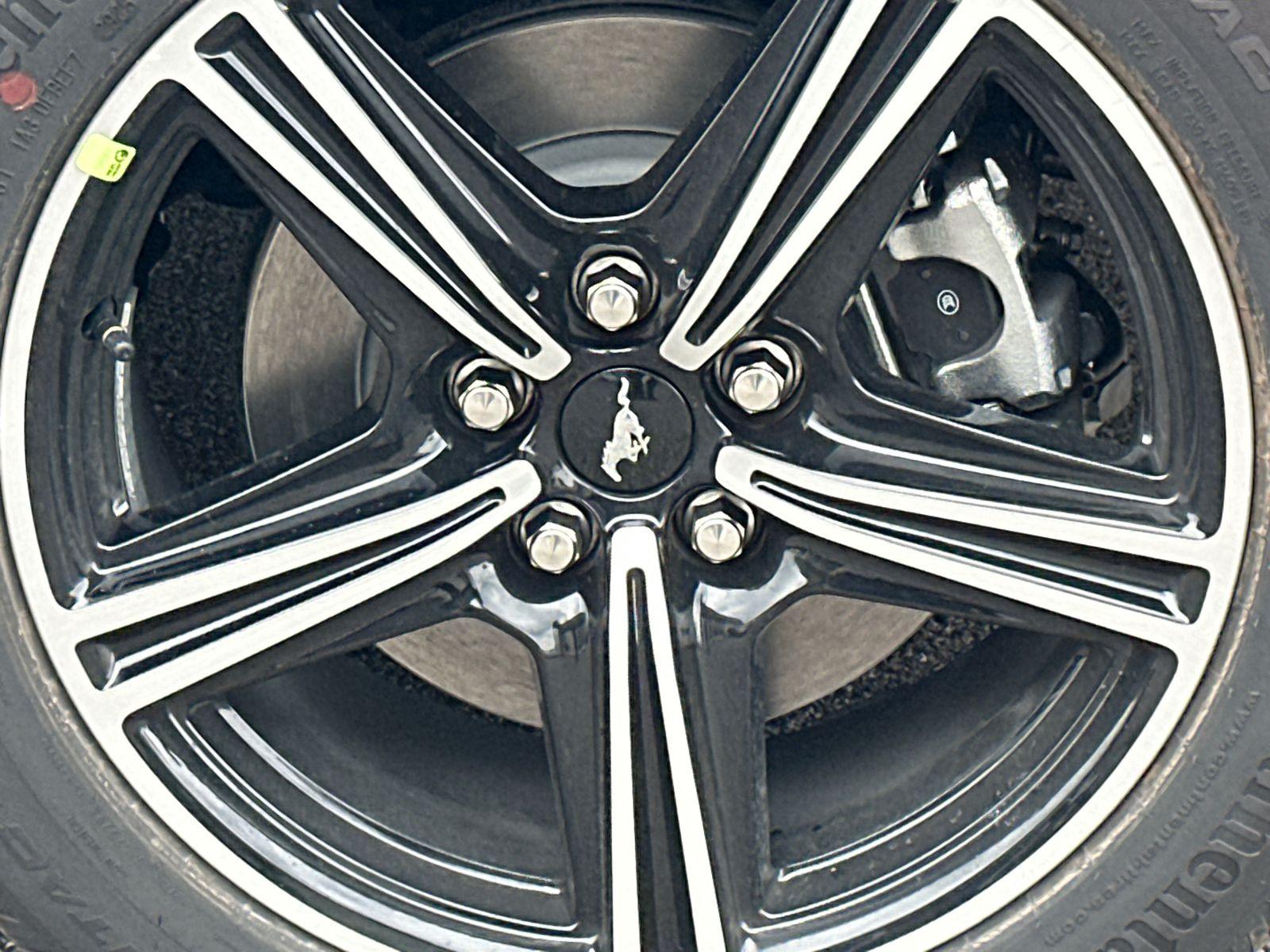 2025 Ford Mustang Photo in Silver Spring, MD 20904