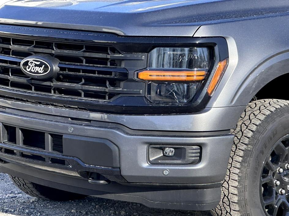 2025 Ford F-150 Photo in Silver Spring, MD 20904