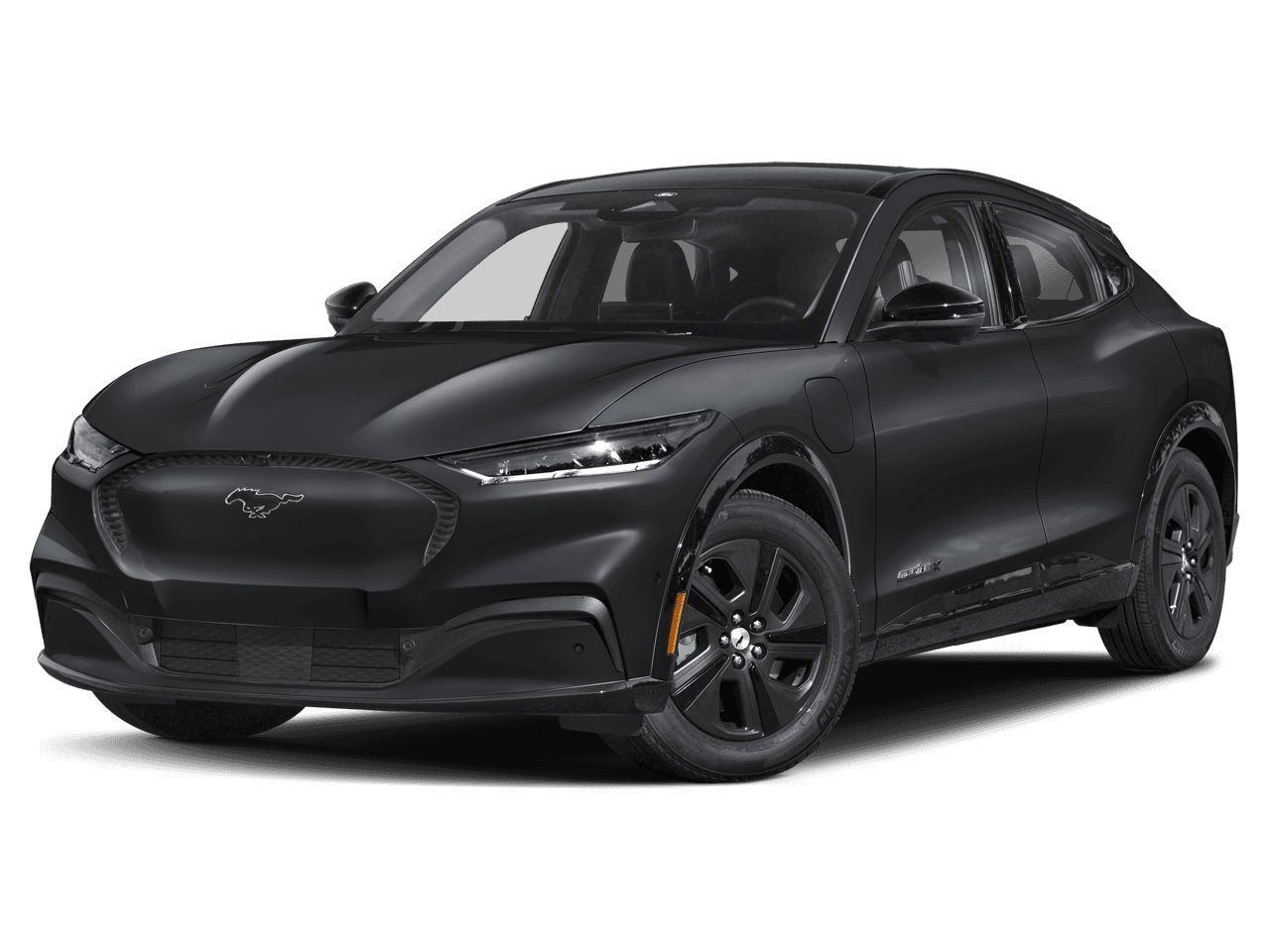 2021 Ford Mustang Mach-E Photo in Silver Spring, MD 20904