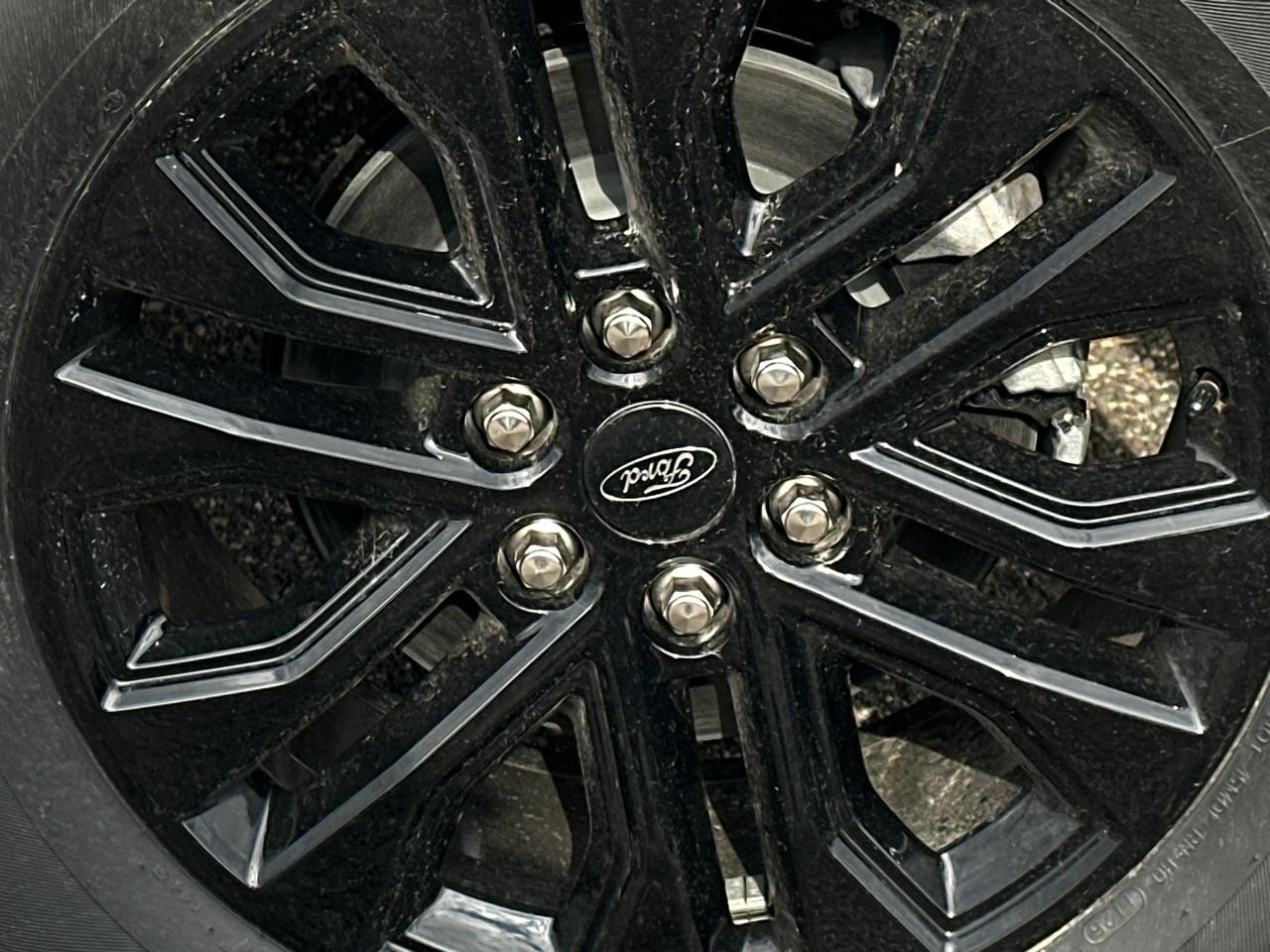 2025 Ford F-150 Photo in Silver Spring, MD 20904