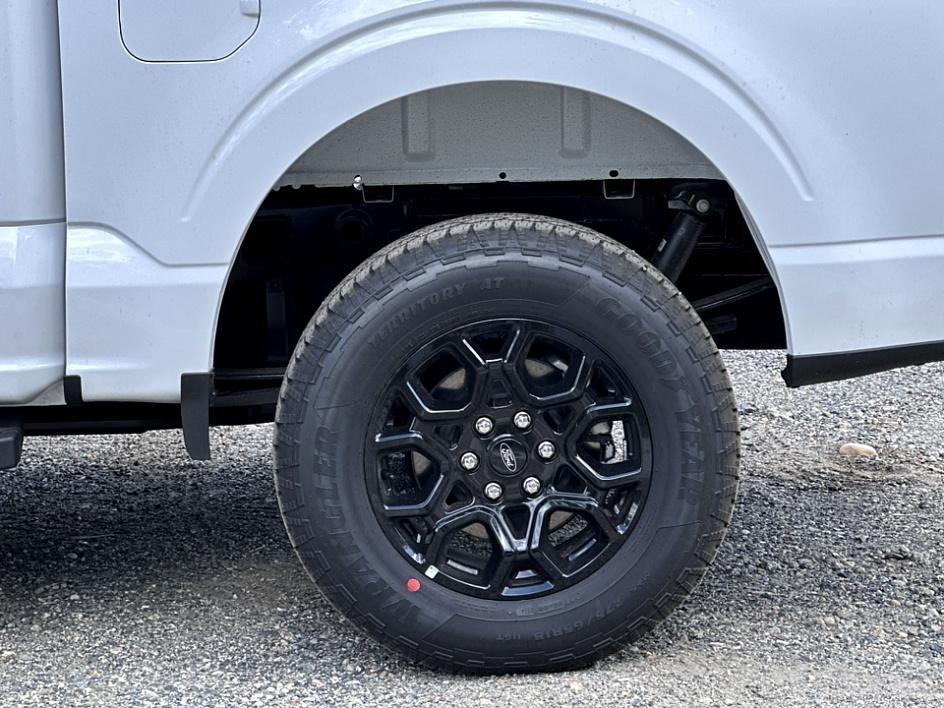 2024 Ford F-150 Photo in Silver Spring, MD 20904