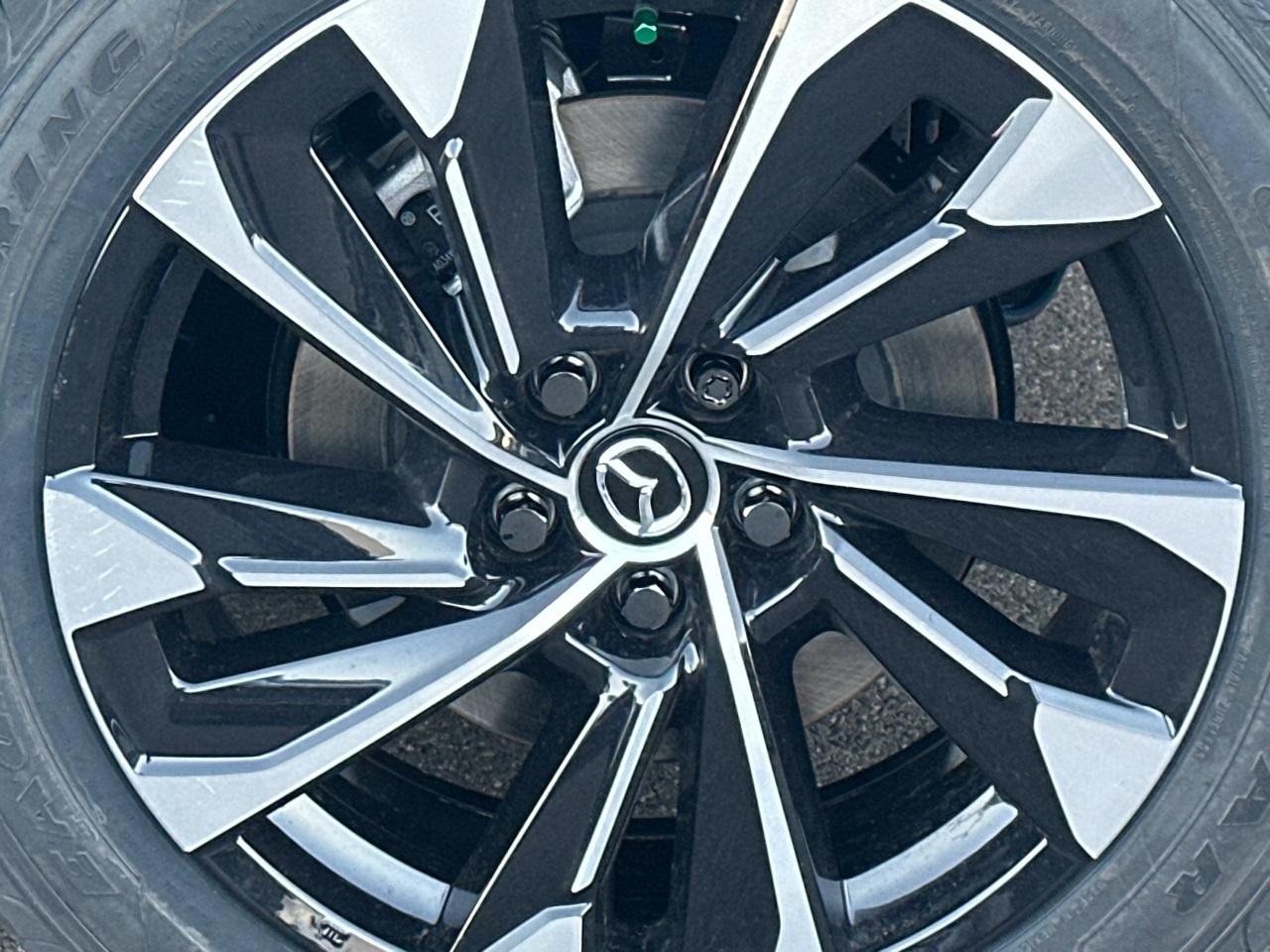 2026 Mazda CX-50 Hybrid Photo in Silver Spring, MD 20904