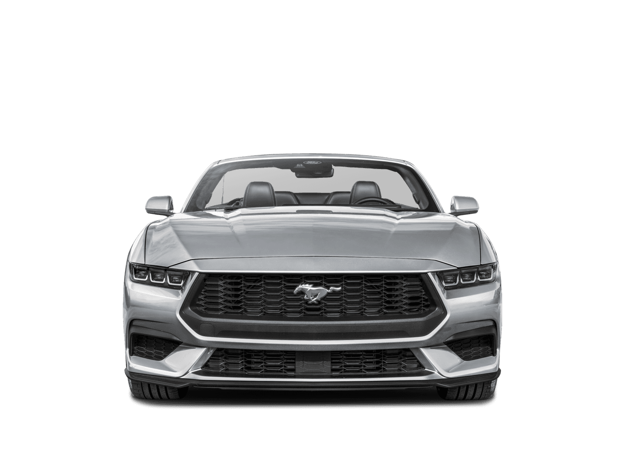 2024 Ford Mustang Photo in Silver Spring, MD 20904