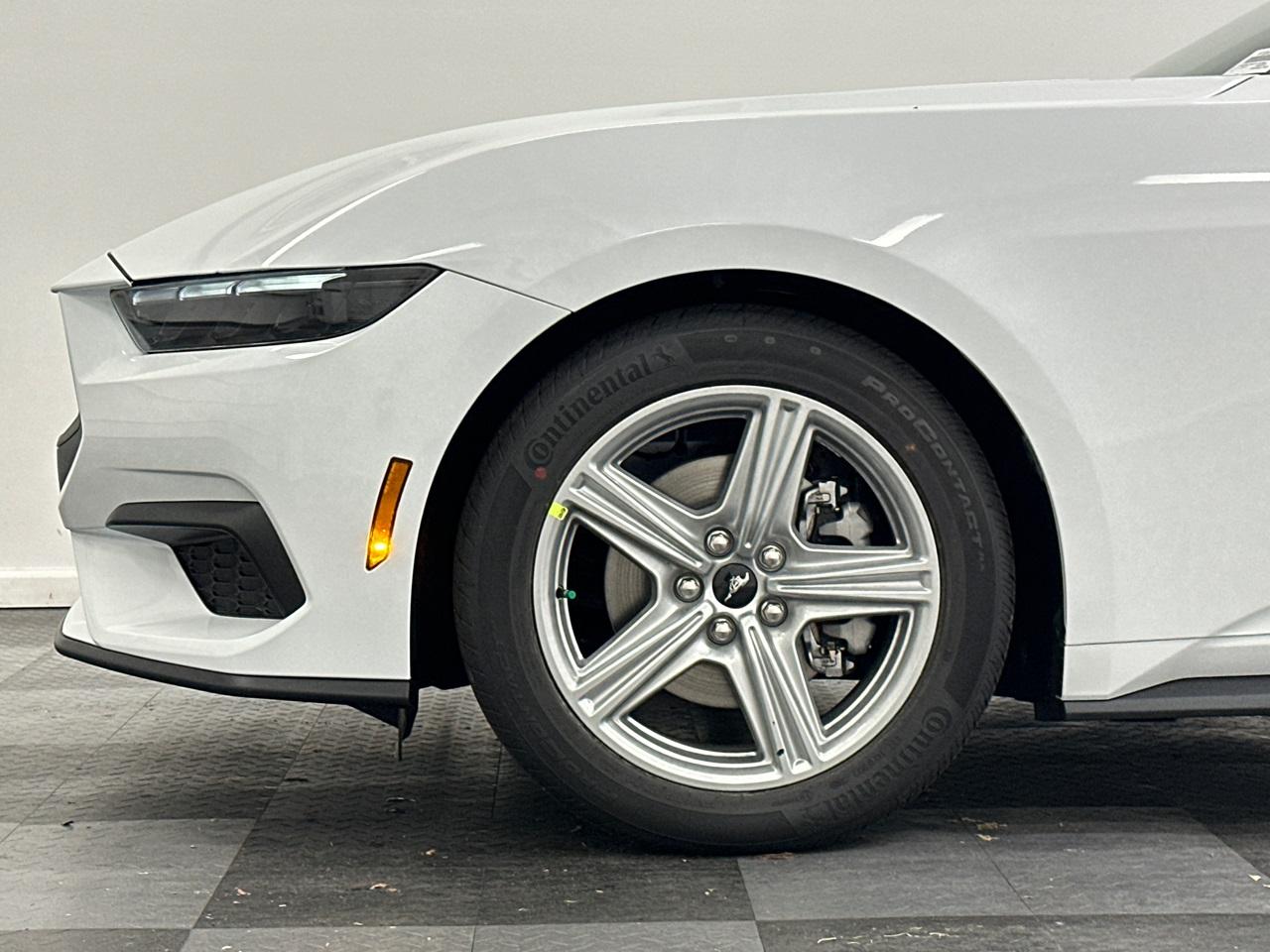 2026 Ford Mustang Photo in Silver Spring, MD 20904