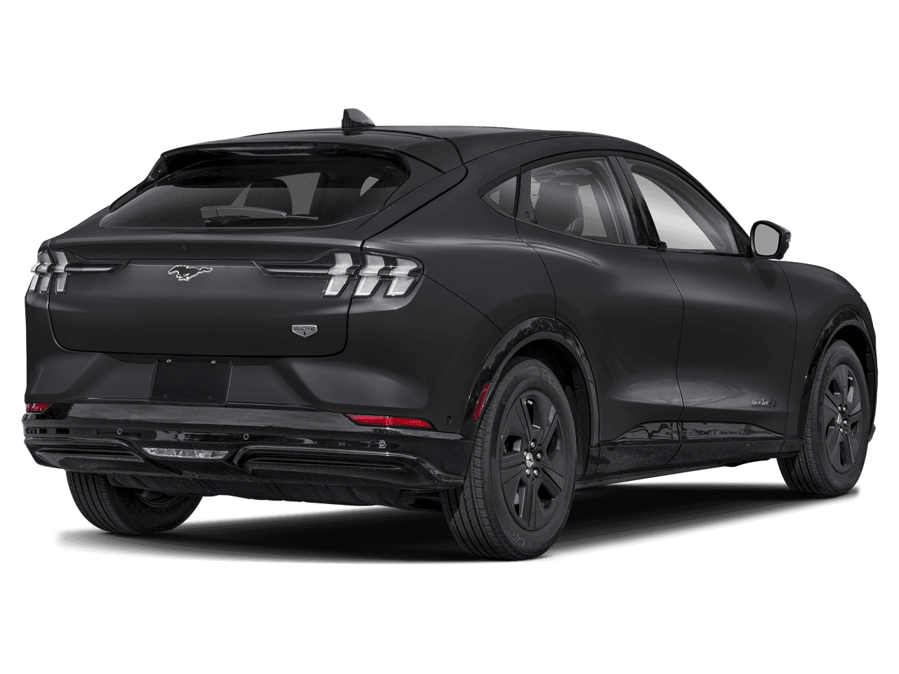 2021 Ford Mustang Mach-E Photo in Silver Spring, MD 20904