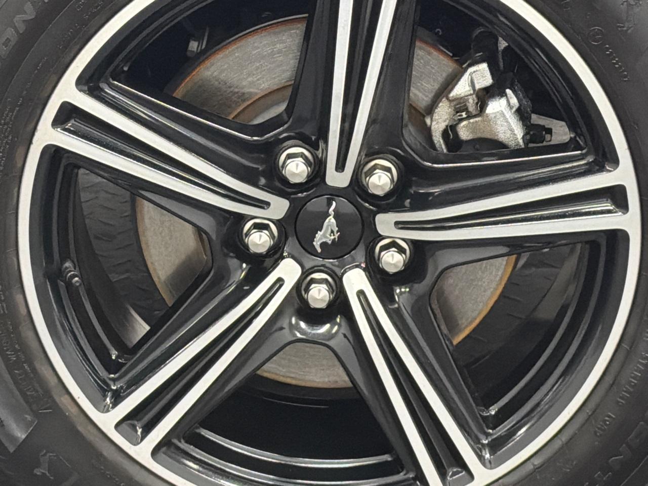 2024 Ford Mustang Photo in Silver Spring, MD 20904