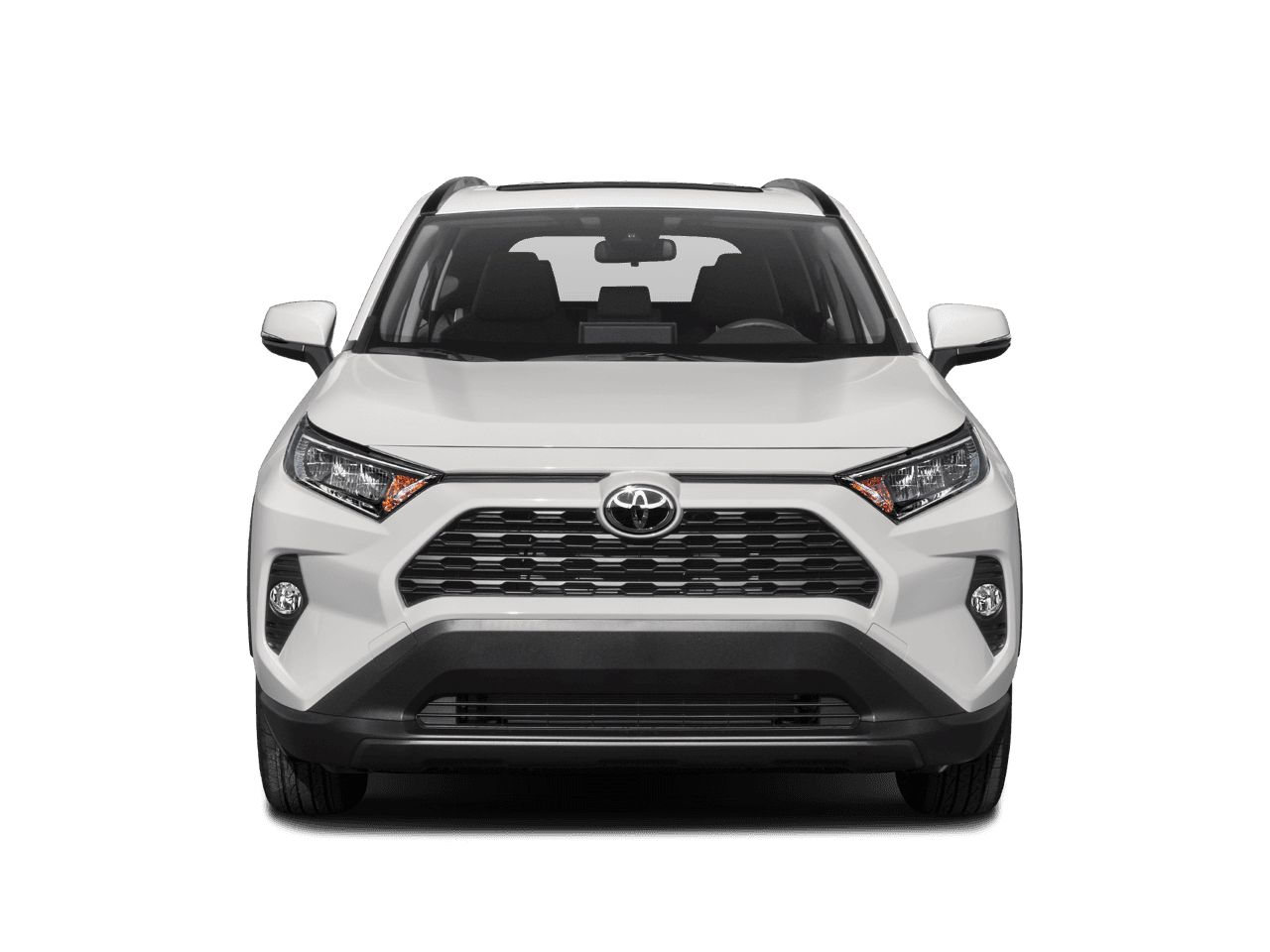 2019 Toyota RAV4 Photo in Silver Spring, MD 20904