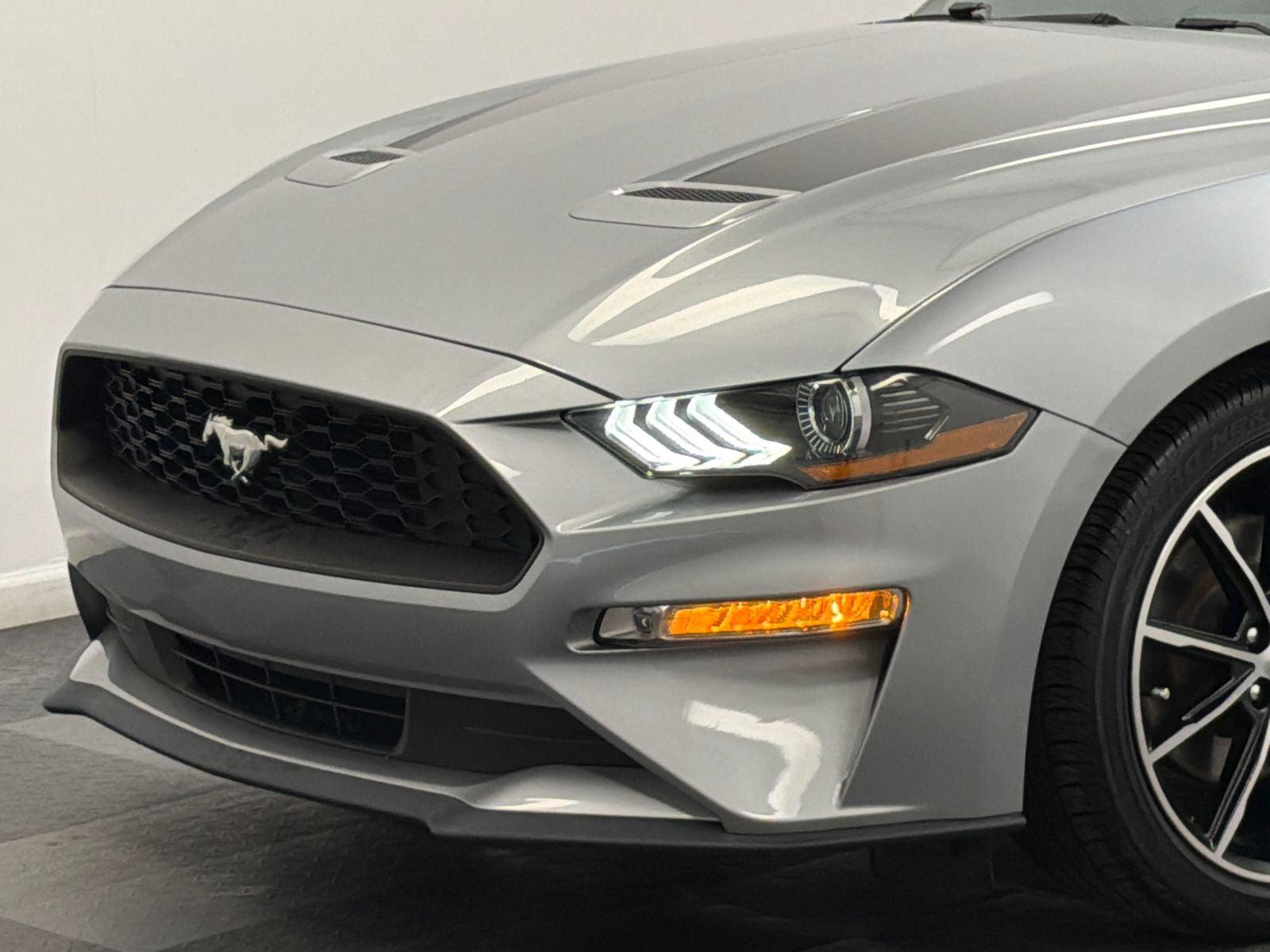 2021 Ford Mustang Photo in Silver Spring, MD 20904