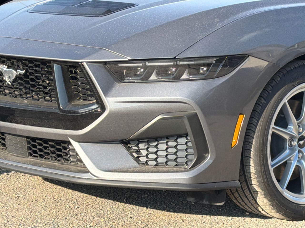 2026 Ford Mustang Photo in Silver Spring, MD 20904