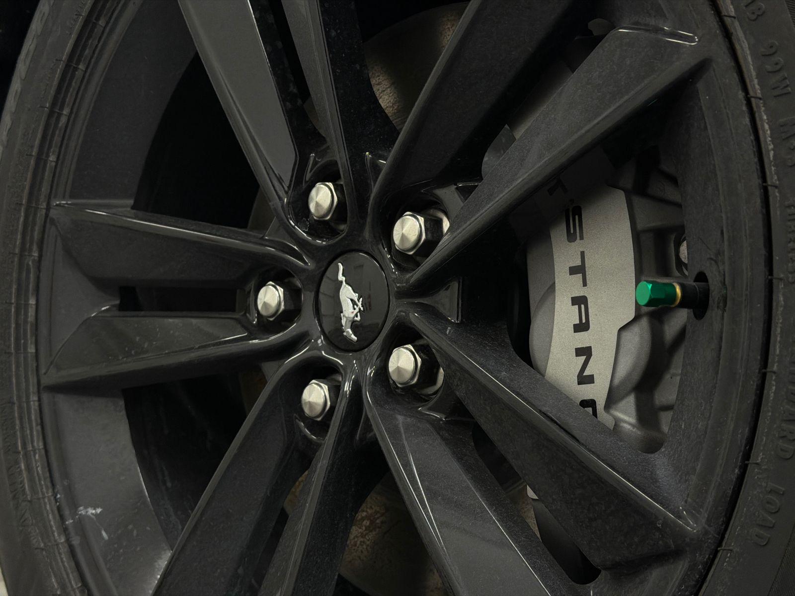 2026 Ford Mustang Photo in Silver Spring, MD 20904