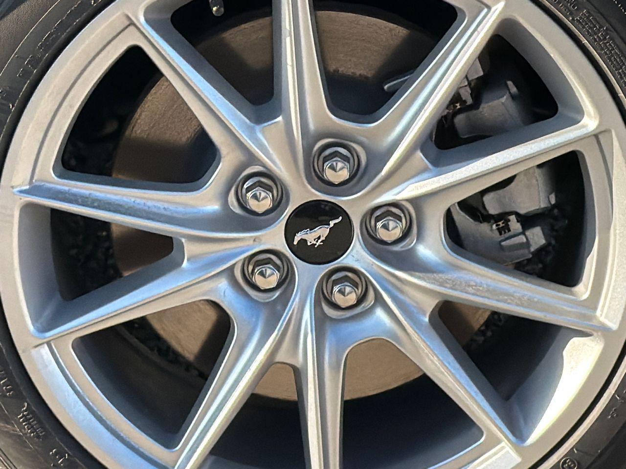 2026 Ford Mustang Photo in Silver Spring, MD 20904