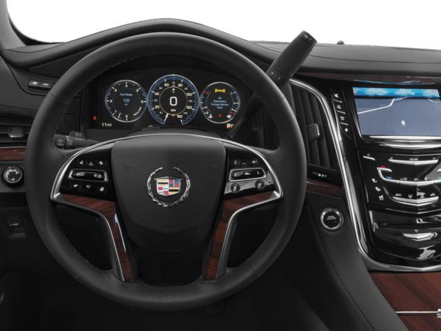 2015 Cadillac Escalade Photo in Bethesda, MD 20814