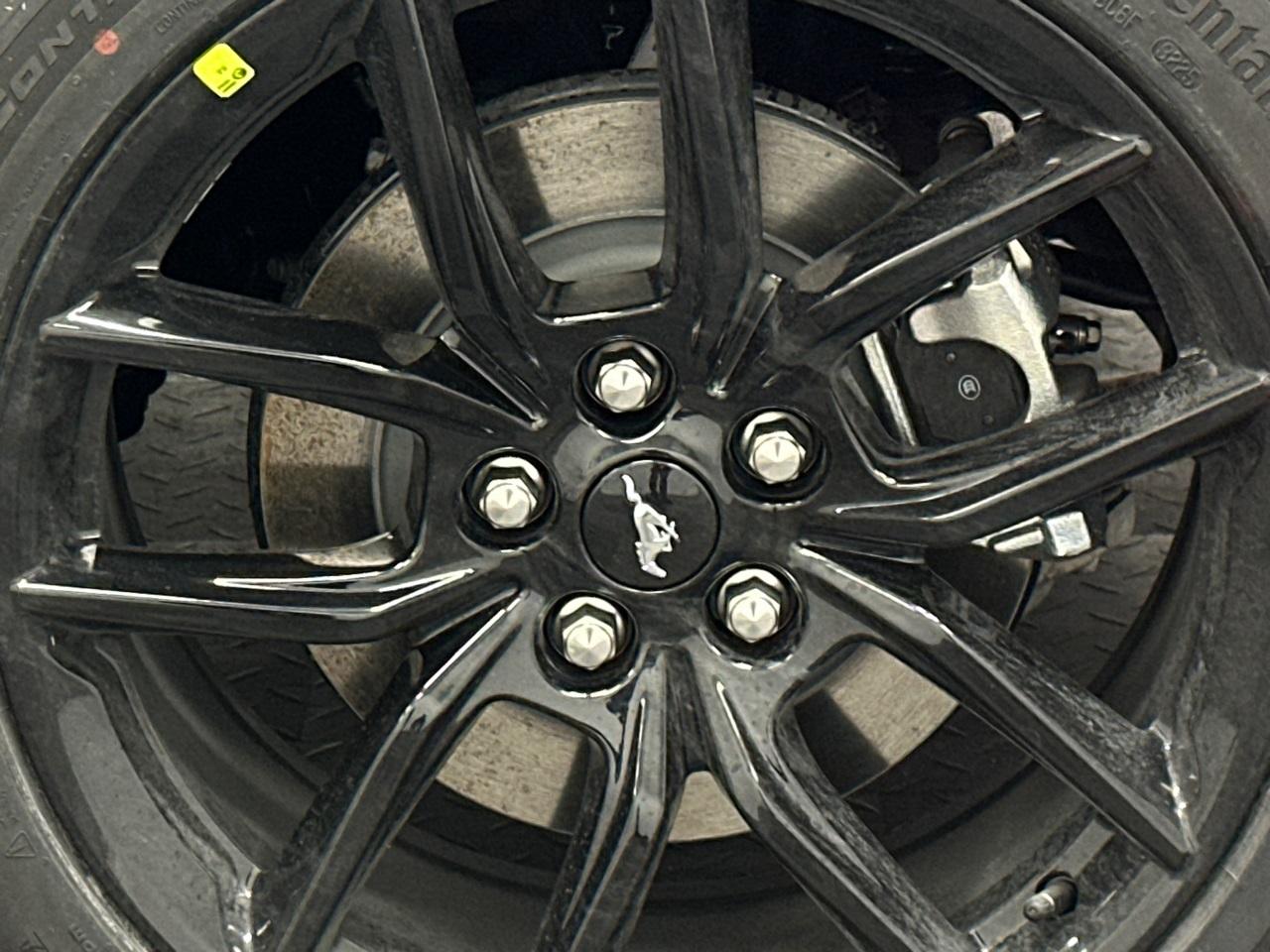 2026 Ford Mustang Photo in Silver Spring, MD 20904