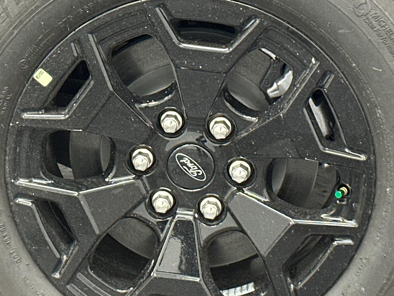 2025 Ford F-150 Lightning Photo in Silver Spring, MD 20904