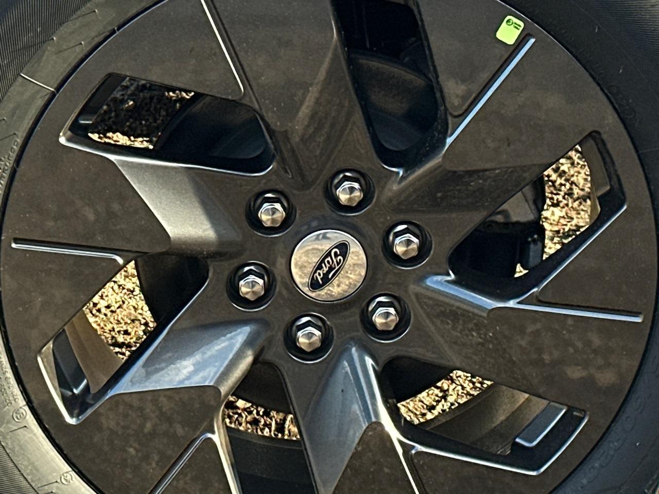 2025 Ford F-150 Photo in Silver Spring, MD 20904